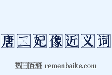唐二妃像近义词是什么意思的图片